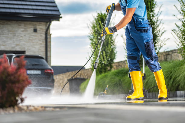 Best House Exterior Washing  in Nes, IL